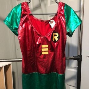 Women's Robin Lame' Dress Costume Size Lg